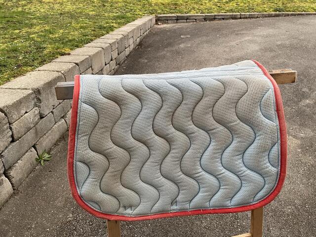 Tapis Silver crown