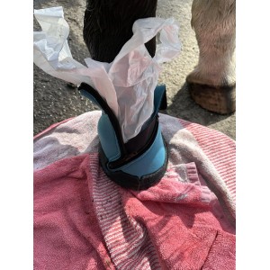 Hipposandales