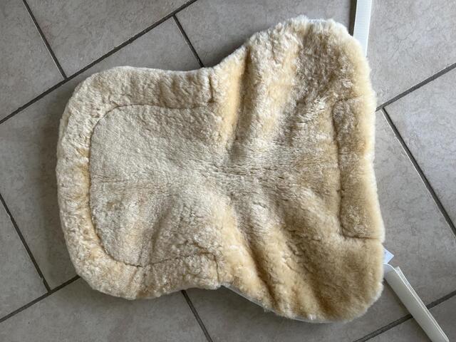 Amortisseur CSO mouton