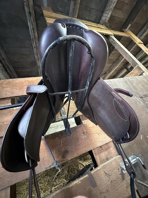 Selle Childeric FSC