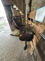 Selle Childeric FSC