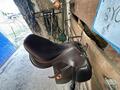 Selle Childeric FSC