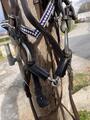 Mors olive caoutchou