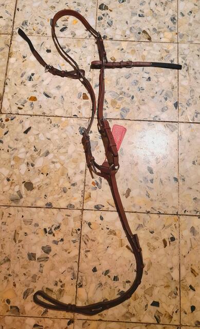 Collier de chasse CWD Neuf