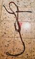 Collier de chasse CWD Neuf