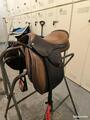 selle antares