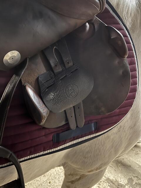 Selle Meyer 17'