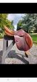 Selle CWD obstacle 17.5