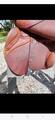 Selle CWD obstacle 17.5