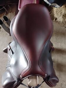 Selle Antarès