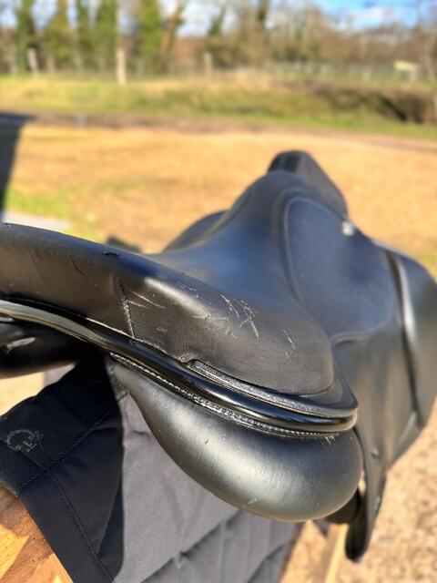 Selle en cuir Privilège mixte typée obstacle
