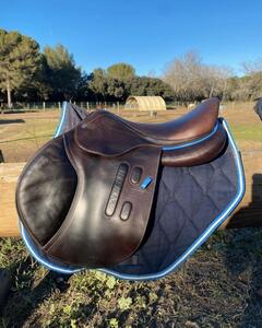 Selle gbs