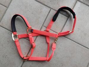 Licol neuf cheval
