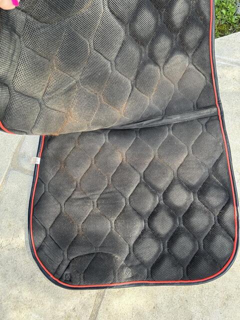 Tapis GEM prune