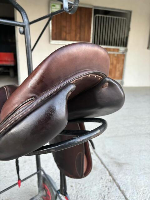 Selle cso forestier