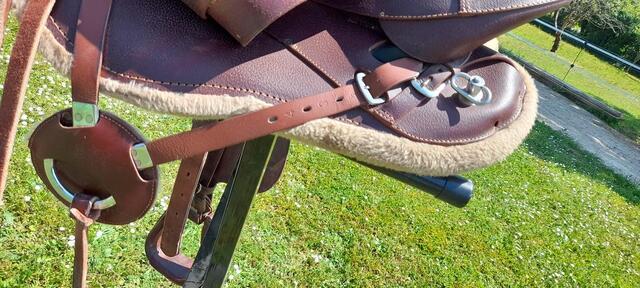 Selle cheval PRESTIGE TREKKER RR