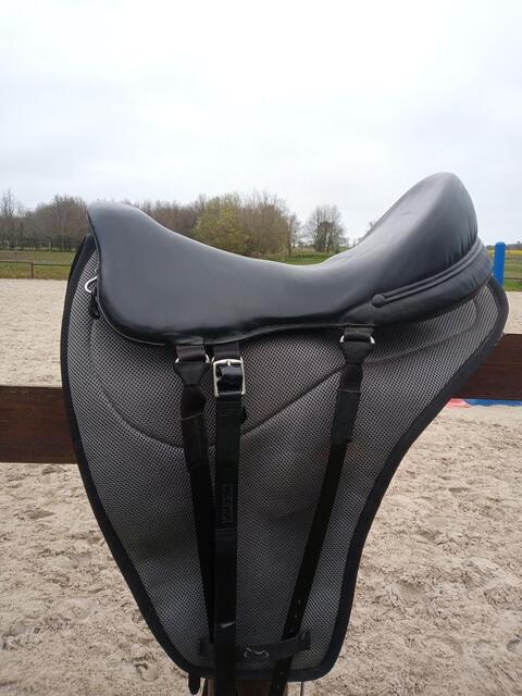 Selle SETZI BALENTE B 2022