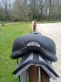 Selle SETZI BALENTE B 2022