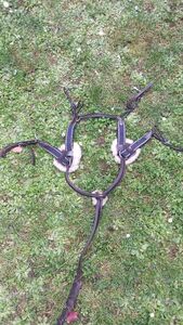 Collier de chasse 5 points