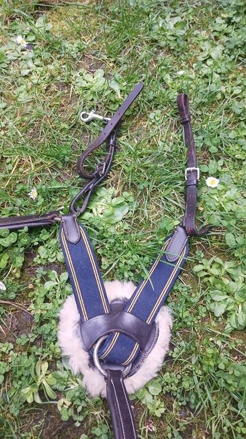 Collier de chasse 5 points
