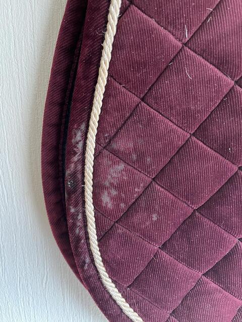 tapis kentucky velvet bordeaux