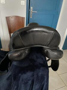 Selle Antares cadence dressage