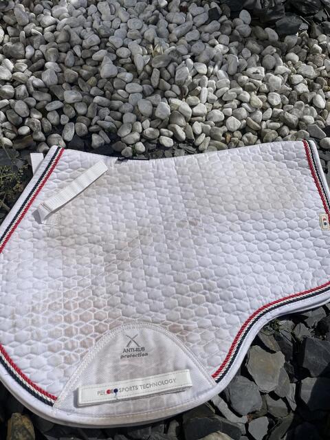 tapis
