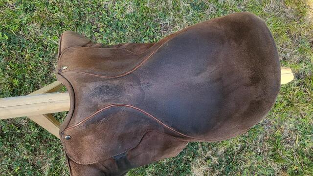 Selle dessus daim Phoenix (Toulouse)