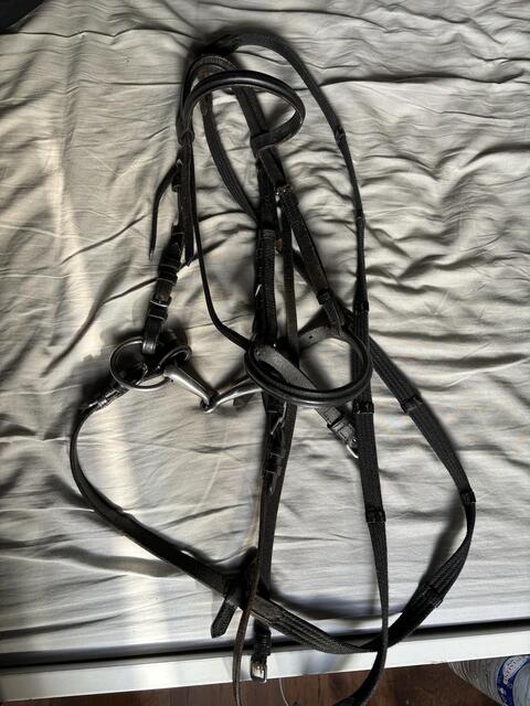 Lot de 2 bridons taille poney/shet