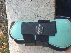 Guettre turquoise