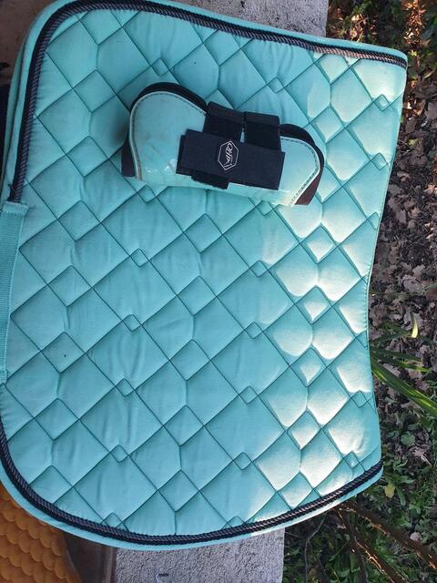 Guettre turquoise