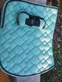 Guettre turquoise