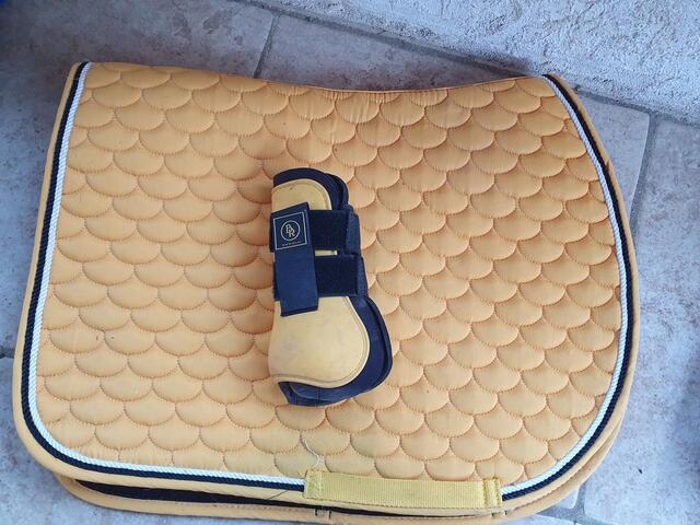 Guettre jaune