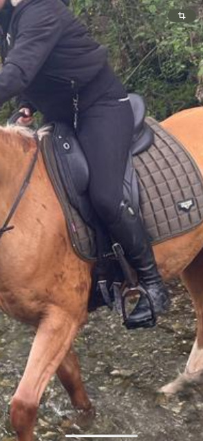 Selle dressage Devoucoux 17,5 Makila Lab