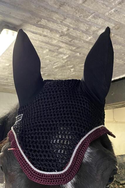 Bonnet Harcour