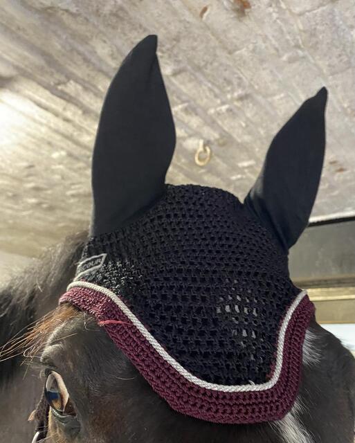 Bonnet Harcour