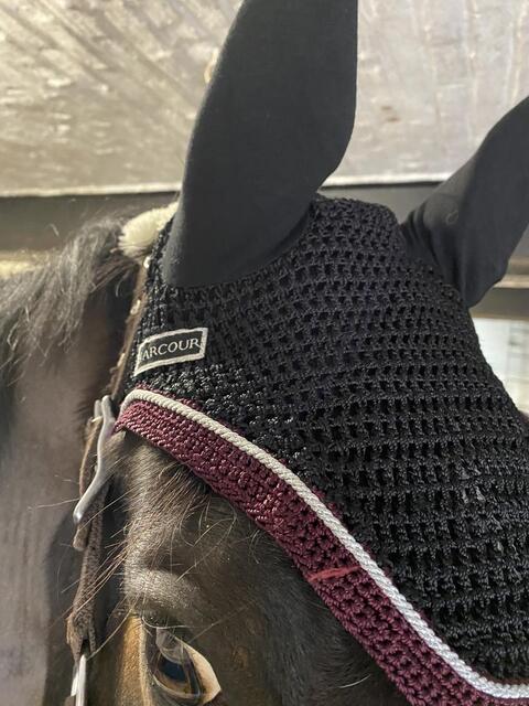 Bonnet Harcour