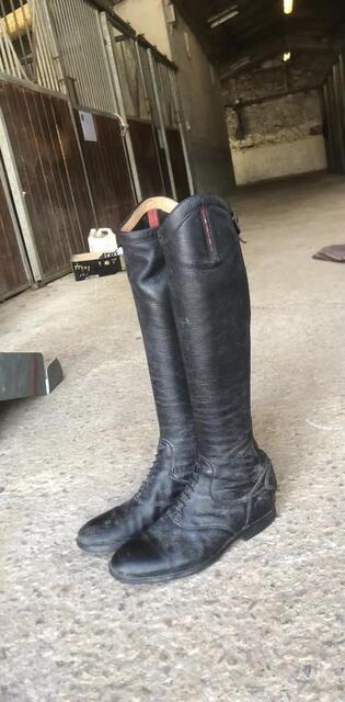 Botte zodiak ANIMO