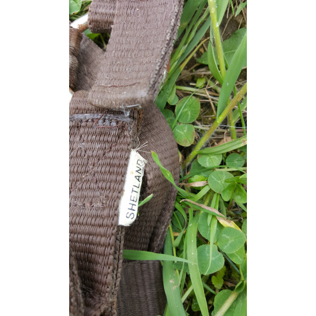 Licol marron taille shetland