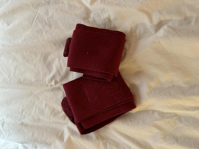 Bandes de polo x2 bordeaux