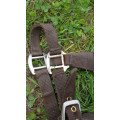 Licol marron taille shetland