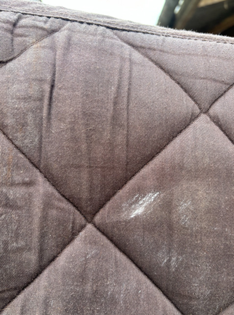 Tapis Destrier