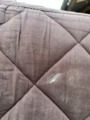 Tapis Destrier