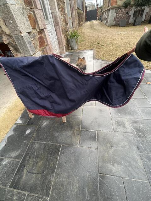 Couvre reins bleu/Bordeaux Equitheme