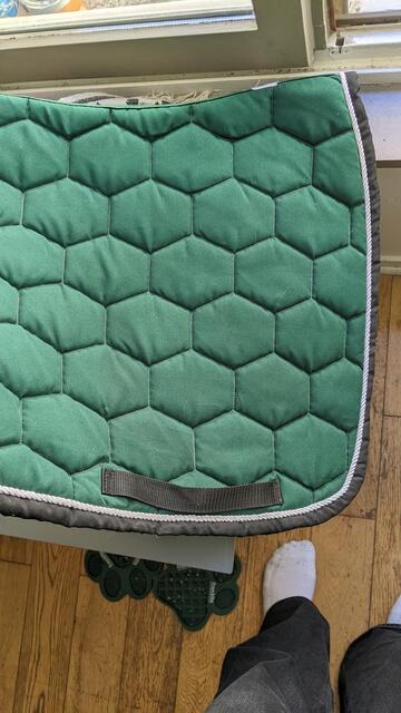 Tapis dressage