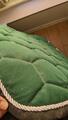 Tapis dressage