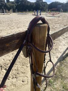 Bridon CWD + rênes CWD