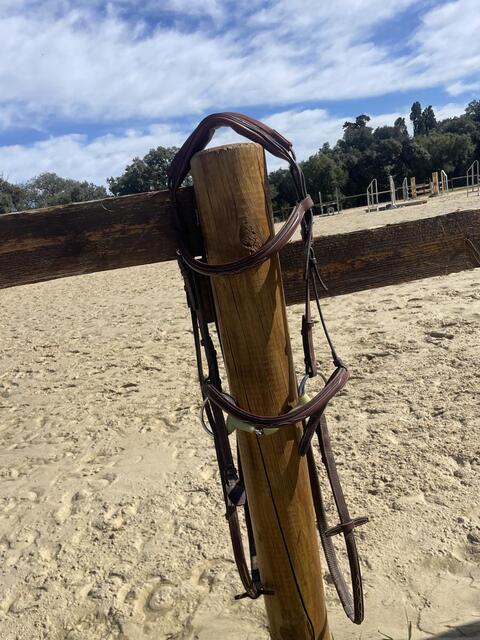 Bridon CWD + rênes CWD