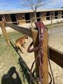 Bridon CWD + rênes CWD