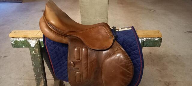 SELLE GBS